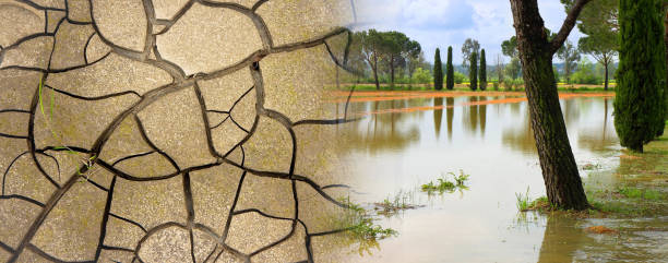 Flooded fields after torrential rain and desertification stock photo