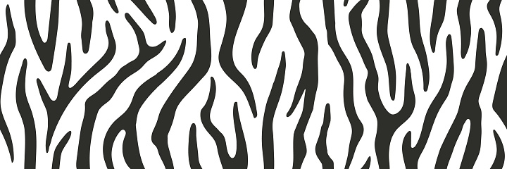 Zebra seamless pattern or repeatable border, monochrome vector illustration.