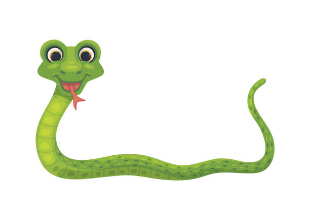 Smiling snake friendly childish character flat vector illustration isolated. Funny smiling snake friendly childish character, flat cartoon vector illustration isolated on white background. Green cheerful snake for children prints. snake with its tongue out stock illustrations