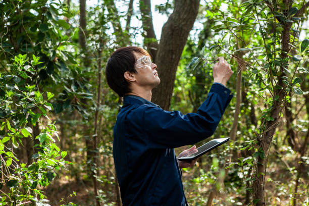 istock A man wearing protective glasses and work clothes is conducting an environmental survey with a tablet in his hand. 1410999432