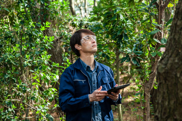 An environmental surveyor checks forest condition