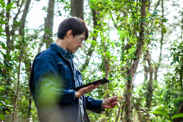 istock A man wearing protective glasses and work clothes is conducting an environmental survey with a tablet in his hand. 1410999436