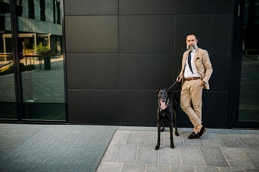 Portrait of a senior businessman playing with his dog in front of a black wall in the city