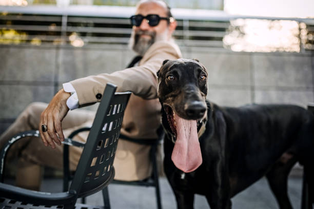 istock Handsome elegant senior businessman with a dog in a city 1411001296