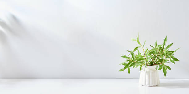 istock Branches with green leaves in a vase and shadows on a white table. Mock up for displaying works 1411001711