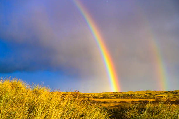 Rainbow in the dunes at Texel island in the Wadden sea region stock photo