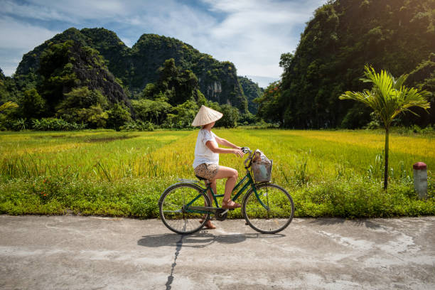 ベトナムの美しい田んぼをサイクリングするベトナムの帽子をかぶった人 - vietnam hat ストックフォトと画像