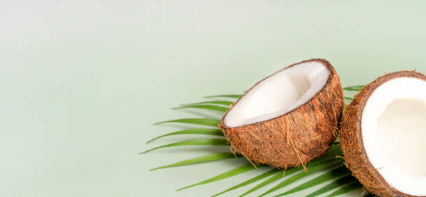 istock Ripe half coconut with green leaf on green background. Banner with copy space 1411003815