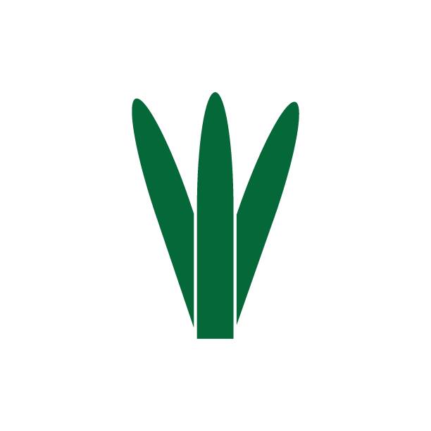 aloe vera logo aloe vera logo stock illustration design aleo vera stock illustrations