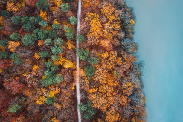 istock Road By The Lake 1411009405