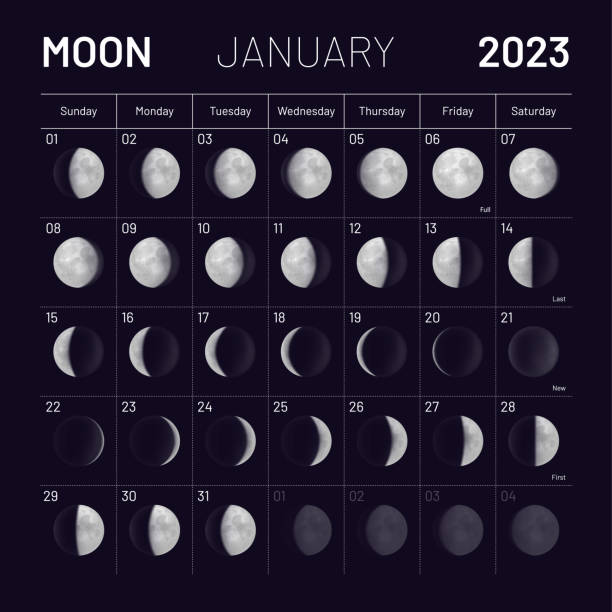 2023 년 일월 음력 달력, 월간 사이클 플래너 - lunar year stock illustrations