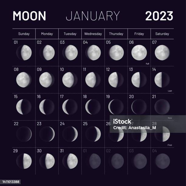 January Lunar Calendar For 2023 Year Monthly Cycle Planner Stock