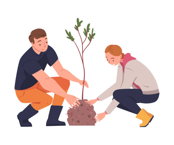 ilustrações, clipart, desenhos animados e ícones de personagem homem e mulher plantando mudas de árvores no solo cuidando da ilustração do vetor do planeta e da natureza - afforestation