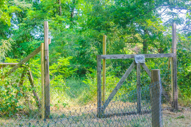 istock Natural panorama with fence pathway green plants trees forest Germany. 1411015958