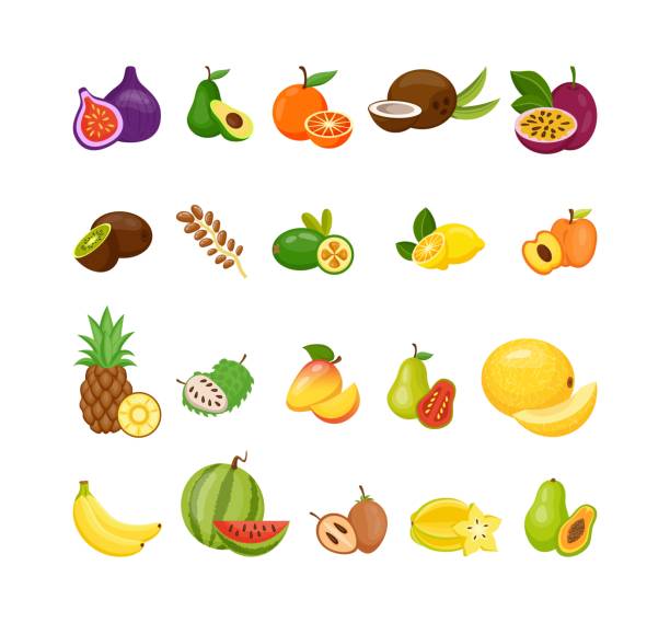 illustrazioni stock, clip art, cartoni animati e icone di tendenza di frutta esotica. cibo vitaminico estivo. mango tropicale e jackfruit. ananas piatto. carambola isolata o banana. pasto vegano. fico e pitaya. anguria matura. set di superfood per cartoni animati vettoriali - starfruit