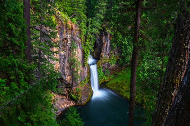 istock Toketee Falls in Douglas County, Oregon 1411019955