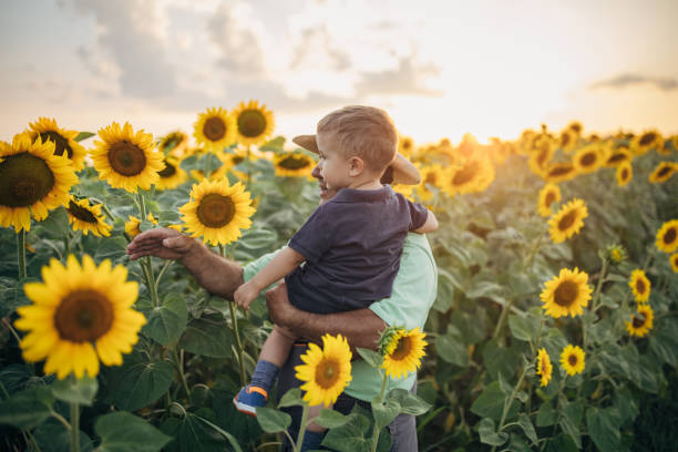 istock Farmer and blooming sunflower field 1411020496