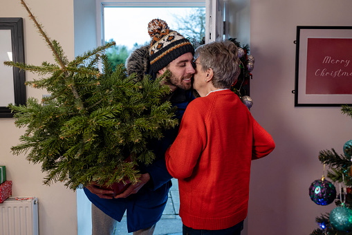 A wide shot of a senior woman opening her grandson at Christmas. He is walking through the door carrying a small Christmas tree and giving his grandma a kiss on the cheek.