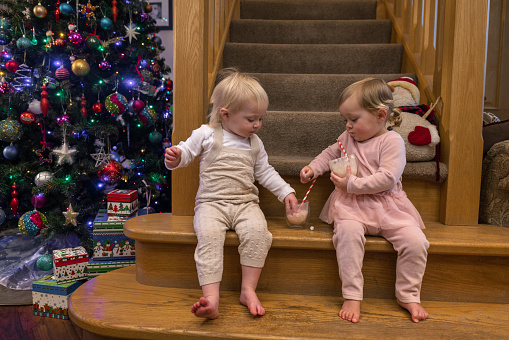 A static, wide shot of two toddler girls wearing casual clothing and bibs at home at Christmas time. They are sitting together at the bottom of the stairs in the lobby of the home which is decorated with Christmas decorations and a Christmas tree. They are sitting side by side and enjoying a hot chocolate topped with marshmallows.