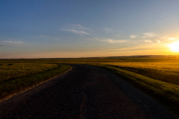 istock paved road for car traffic 1411020973