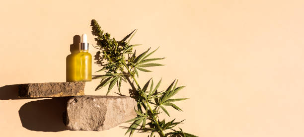 glass bottle with CBD oil, THC tincture and hemp leaves on a pastel background with stone podium. minimalism. Cosmetics stock photo
