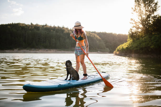 istock Taking my best fiend on a ride with paddle board in lake. 1411022116