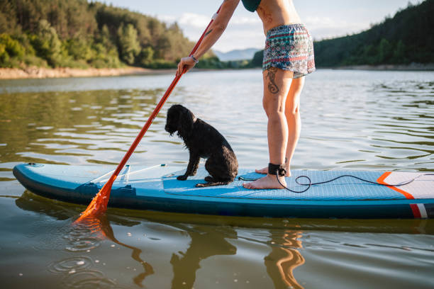 istock Woman paddleboarding with dog. 1411022120