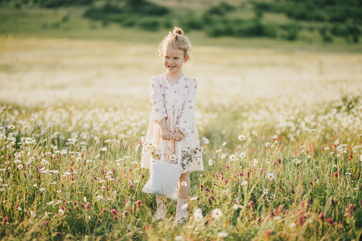 Free Stock Photo of Little Girl Walking in White Flower Field ...