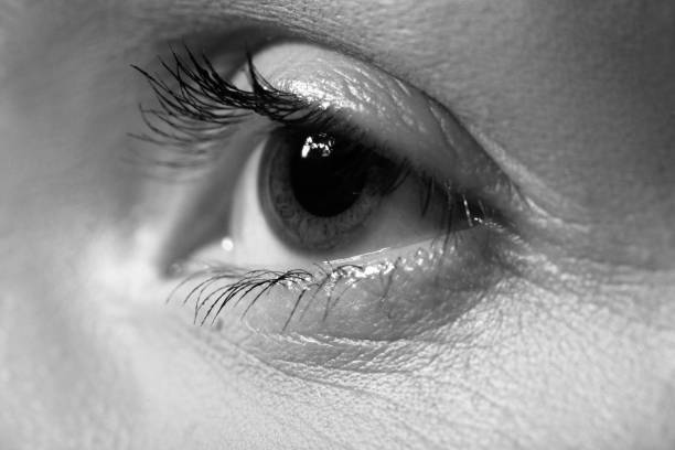 female eye close up