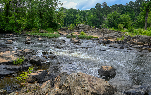 A beautiful forest landscape in the wild of bubbly flowing freshwater rapids through dangerous rocks on the Haw River in North Carolina in HDR.