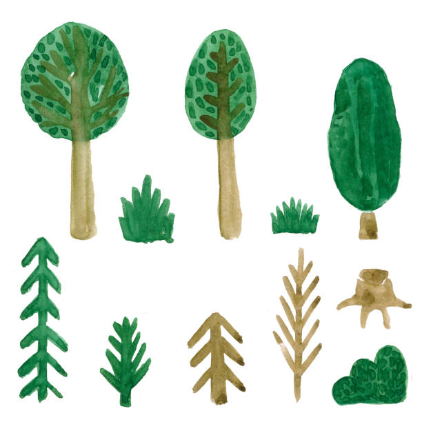 istock Watercolor set of illustrations of green trees. 1411027730