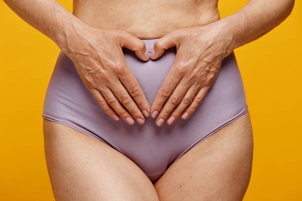 hands on belly - ovulação imagens e fotografias de stock