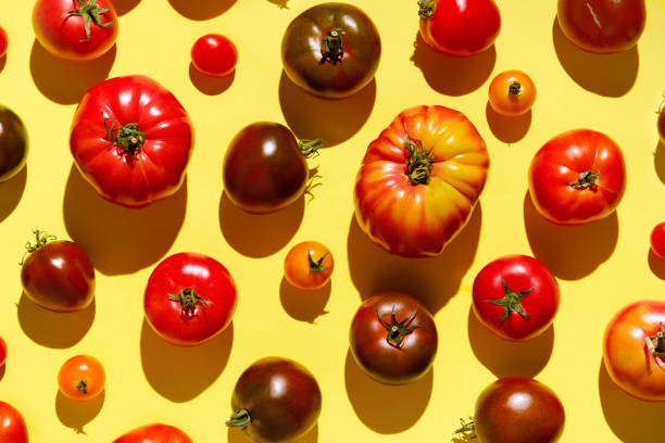 patrón de tomates coloridos frescos sobre fondo amarillo. concepto de otoño y cosecha. sombras de moda y luz solar - heirloom tomato tomato vegetable fruit fotografías e imágenes de stock
