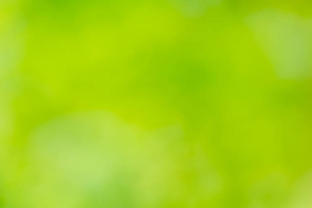 istock Defocussed green nature background 1411034179