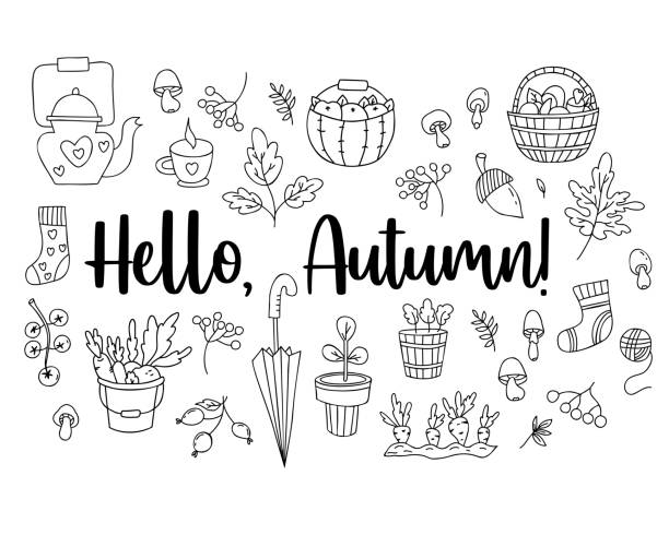 ilustrações de stock, clip art, desenhos animados e ícones de hello autumn set hand doodles. wicker basket with mushrooms, picking vegetables, an acorn and mushrooms, flowerpot and an umbrella, teapot with cup and knitted socks. vector isolated outline elements. - rose plant sketch doodle