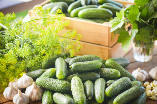 istock Homemade marinated or pickled cucumbers 1411039717
