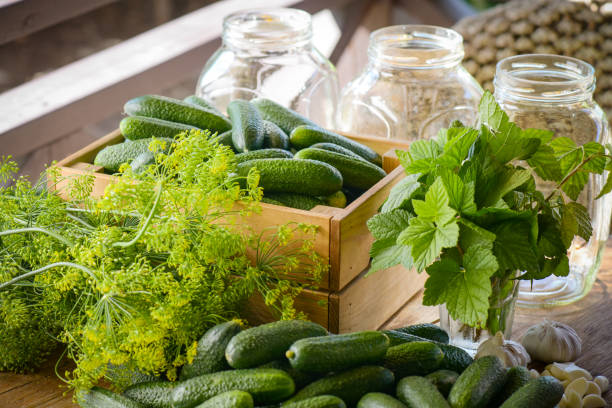 istock Homemade marinated or pickled cucumbers 1411041666