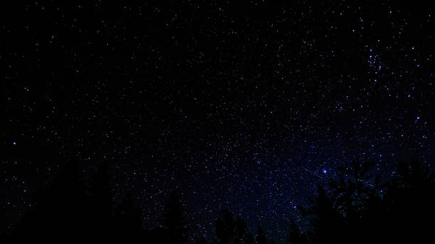 istock The night starry sky. Treetops. Meteorites 1411041908