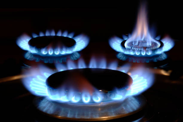 istock gas flame burns on a stove 1411041940