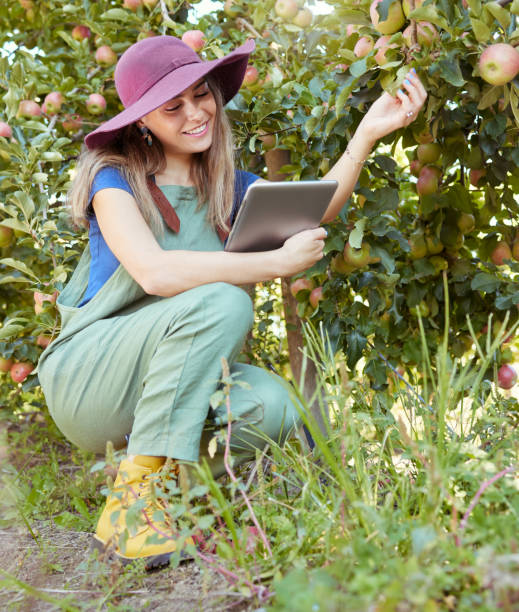 istock Apple farmer using a digital tablet and preparing for harvest on farm. Full length smiling woman using technology to check trees and plants. Monitoring plant growth and agriculture on orchard estate 1411043214