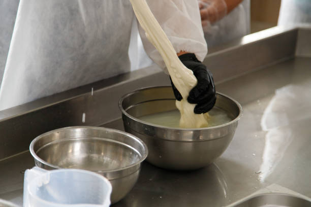 istock preparation of mozzarella in a dairy 1411049537