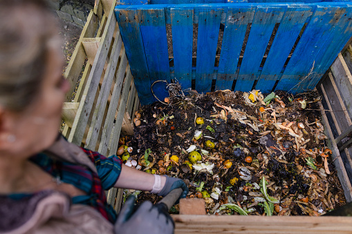 Over the shoulder view of a mature woman using a pitchfork to mix up her leftover fruit and vegetable peelings in a composting box outside her house in Northumberland, North East England.