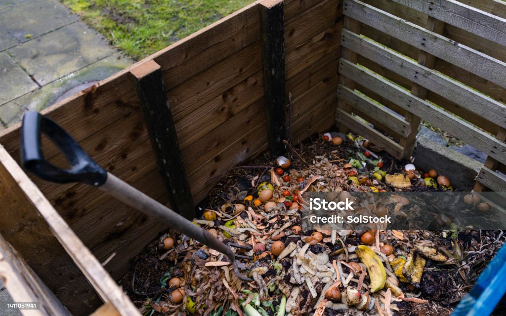 Using Food Waste for Compost House food waste in a composting box outside in Northumberland, North East England. There is a pitchfork in the bin, ready to be used to mix the mulch around. Compost Stock Photo