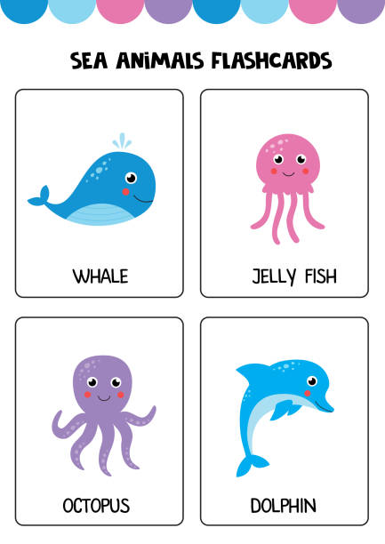 Sea Animals Names Illustrations, Royalty-Free Vector Graphics & Clip Art -  iStock