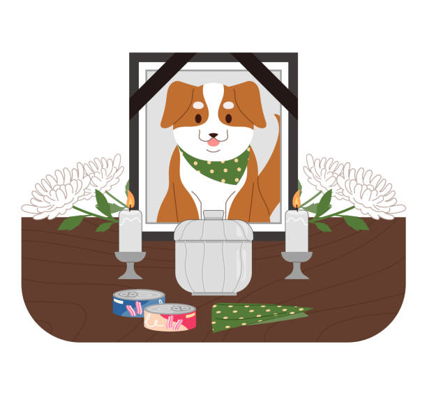 Funeral scene of a dead dog. Items that the dog loved while he was alive, the dog's ashes box, and chrysanthemums are placed there. Pet death concept vector illustration. pet loss stock illustrations