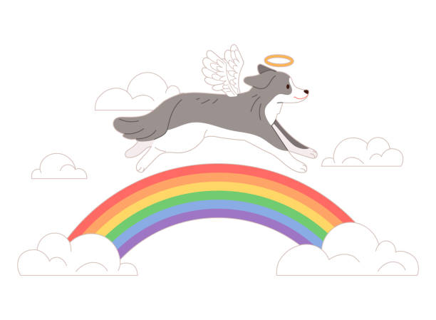 The soul of a dead dog is crossing the rainbow bridge. Dead pet concept vector illustration. pet loss stock illustrations