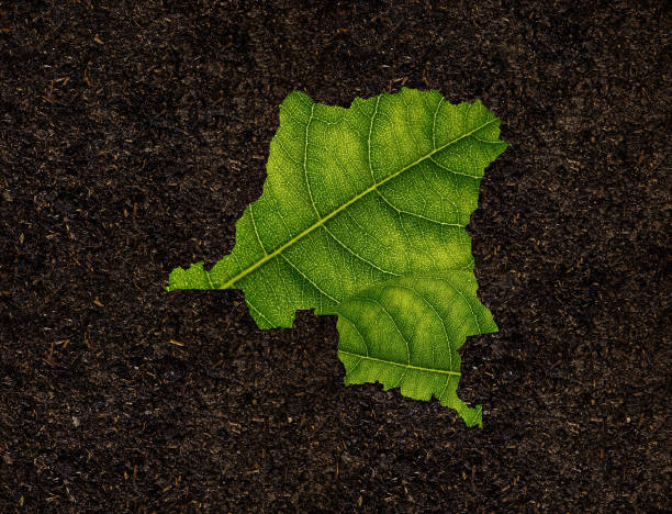 istock Congo map made of green leaves, concept ecology Map green leaf on soil background 1411055414