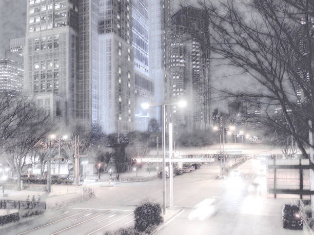 istock Road scenery in Shinjuku subcenter 1411058980