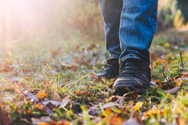 istock Fall season, travel concept 1411060751