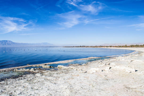 istock Lake near Joshua Tree and Palm Desert 1411062645